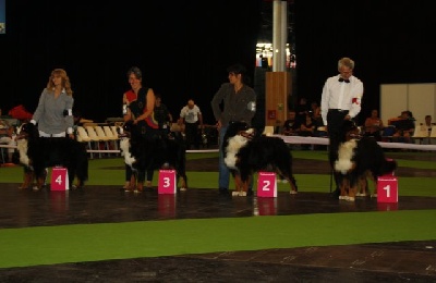 des Nuits Celtiques - RESULTATS CHAMPIONNAT DE FRANCE 2011