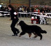  - RESULTATS DE L'EXPOSITION DE SAINT BRIEUC