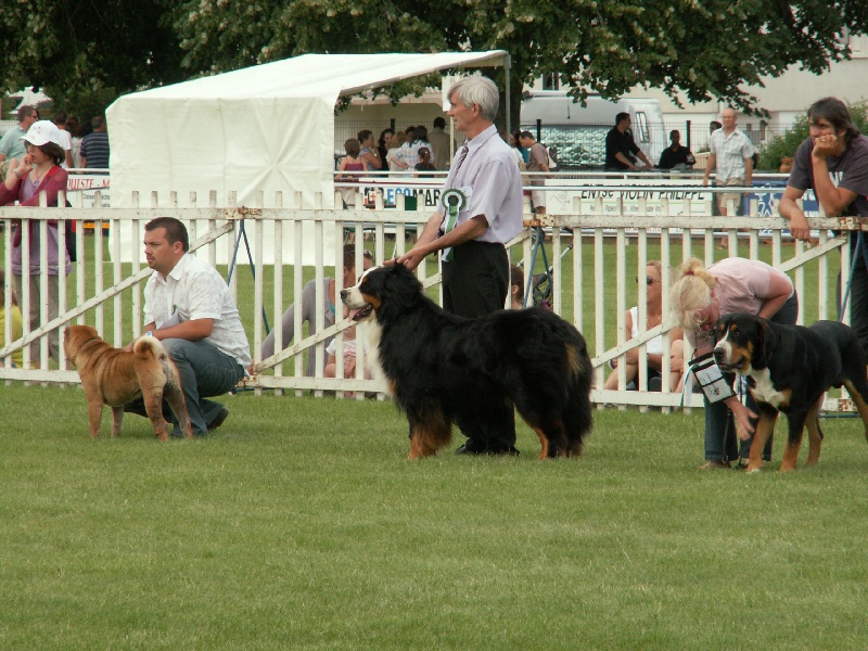 CH. Fidji Van'T Pachthof