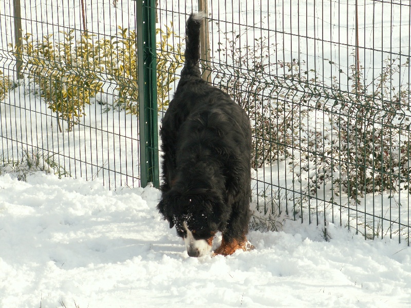 Vas-y De la truffe en quercy